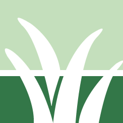 Poison Hemlock Removal Pros