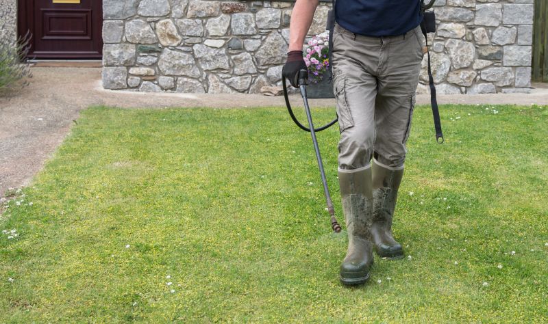 Professional Lawn Care