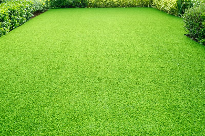 Healthy Green Lawn