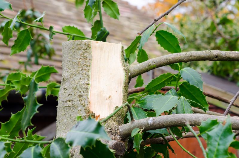 Budget-Smart Upgrades