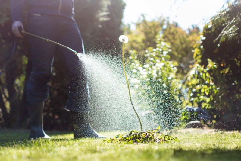 Products For Poison Hemlock Removals in use